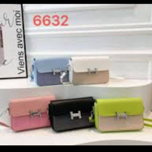 Hermes lady cross bag