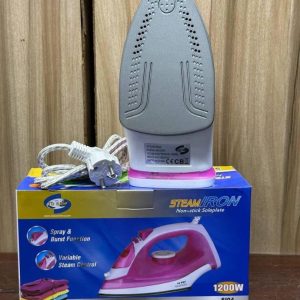 steam and spray iron